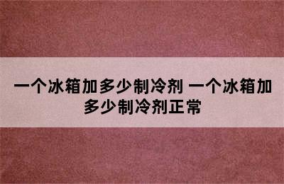 一个冰箱加多少制冷剂 一个冰箱加多少制冷剂正常